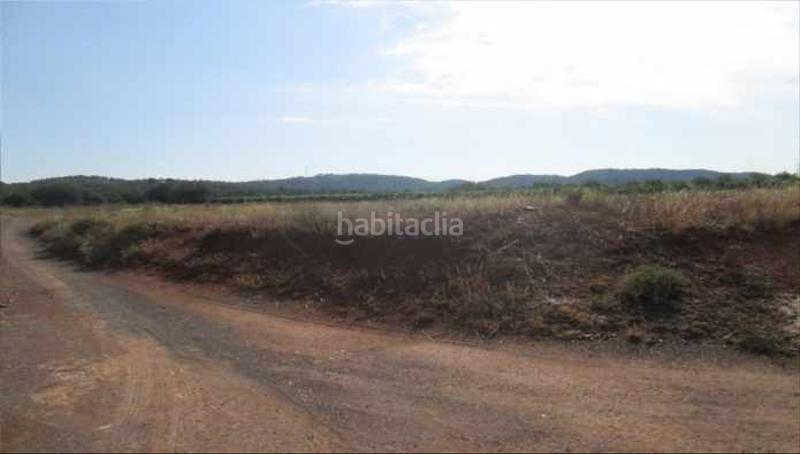Foto dfa4d77d-ef82-4f6e-a6ee-ac69bb24d8e8. Finca rústica solvia inmobiliaria suelo rústico en Vilamarxant