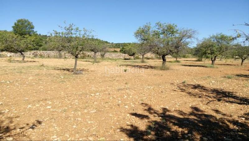 Foto 93998145-3e30-4778-8f0c-3062b3138f4b. Fondo rustico in Los Felipes-Corral de Carmelo Chiva