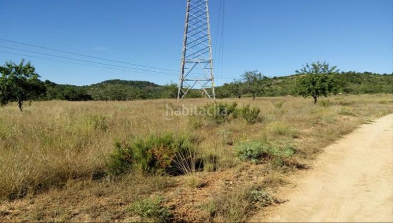 Foto dd08c26e-f684-4180-8a2a-6f335af6342c. Fondo rustico in Los Felipes-Corral de Carmelo Chiva