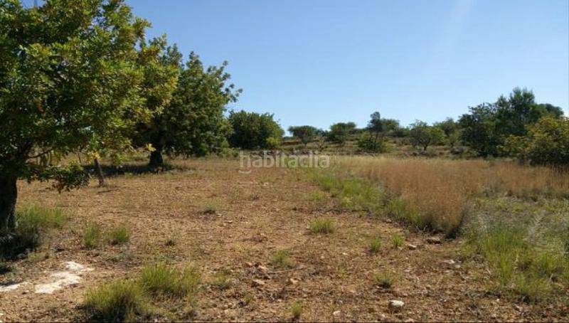 Foto 0837cda4-4d4f-4181-b289-450ce733f63e. Finca rústica a Los Felipes-Corral de Carmelo Chiva