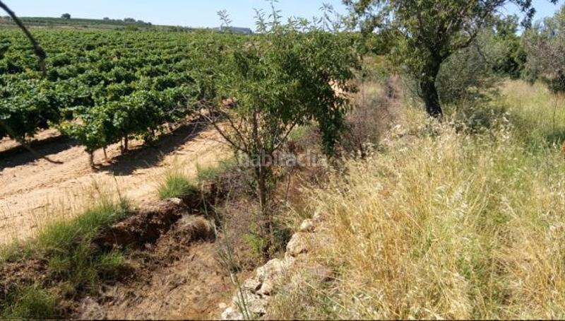 Foto 438080a3-0998-4206-98ff-05fe3746c17b. Finca rústica a Los Felipes-Corral de Carmelo Chiva