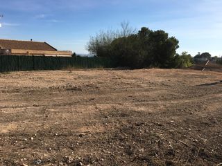 Finca rústica  Partida peña águilas. Solvia inmobiliaria  suelo urbanizable no sectorizado elcheelx