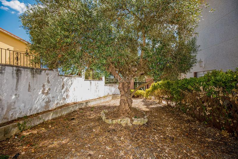 Foto 8242dfc6-4174-47d6-bf26-22f1de77b684. Chalet in Terrafortuna - Puig Ventós Vidreres
