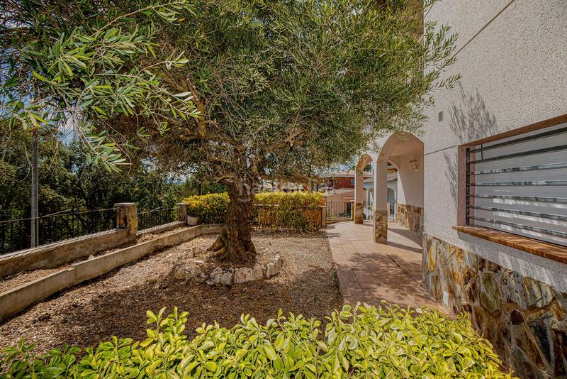 Foto ceaaeb81-fce3-443c-8c7d-d39cb87fd1c3. Chalet in Terrafortuna - Puig Ventós Vidreres