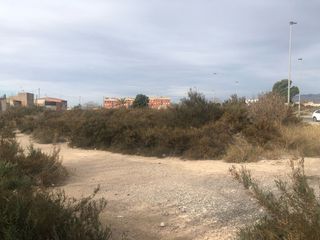 Fondo rustico  Zona carrús. Solvia inmobiliaria  suelo urbanizable no sectorizado elcheelx