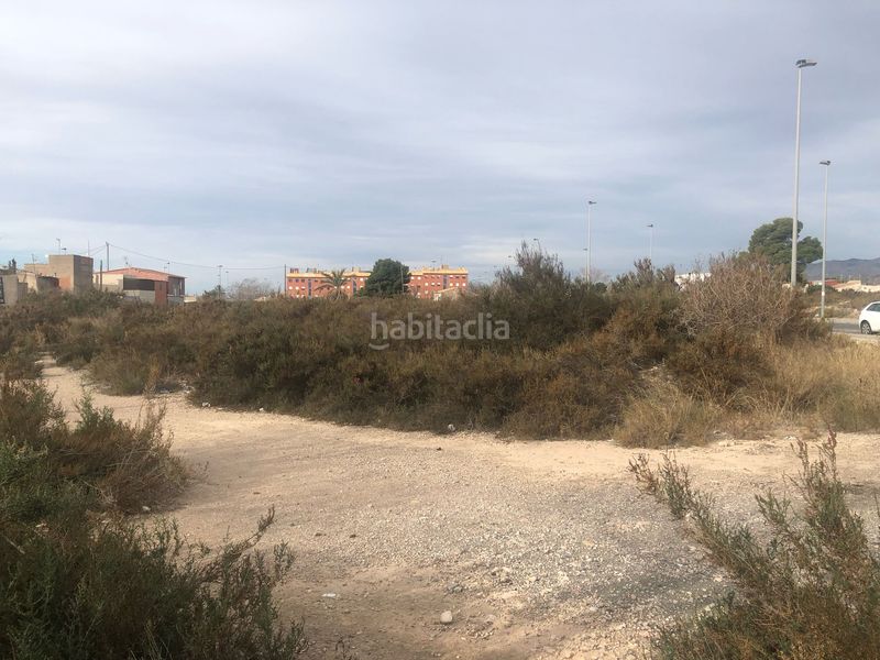 Foto 53eb851c-8a45-4d4a-bf61-c8b6dd6f67ee. Finca rústica a Carrús Oeste Elche / Elx