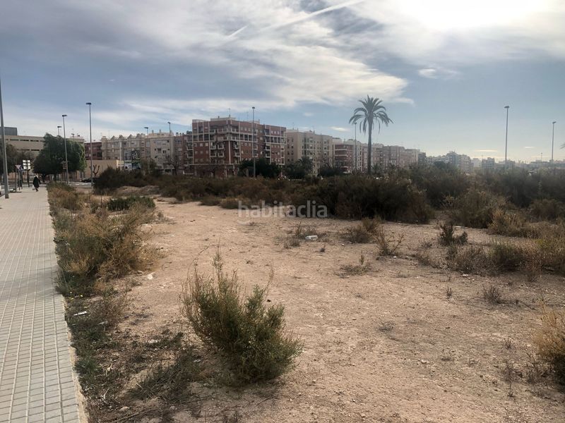 Foto 98d1dc67-1fc3-4d52-947d-3efe11effbc9. Finca rústica a Carrús Oeste Elche / Elx