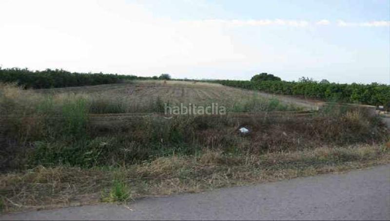 Foto 998a6410-b926-40ff-869d-d13e1f62307a. Finca rústica a Chilches