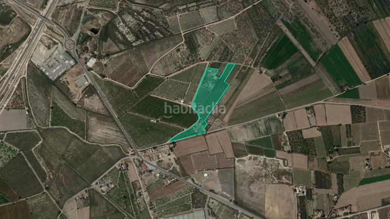 Finca rústica  Paraje azarbon. Solvia inmobiliaria  suelo rústico san isidro