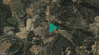 Finca rústica  Pt cañada larga, polígono 7 parcela 120. Solvia inmobiliaria  suelo rústico cheste