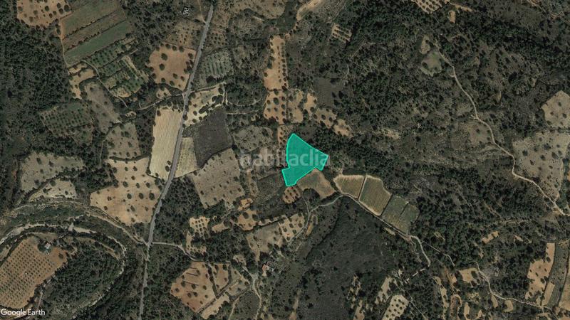 Foto c6407b1b-4d55-4bdd-b57c-95efb22e0417. Finca rústica solvia inmobiliaria suelo rústico en Cheste