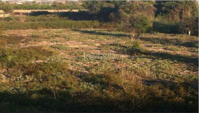 Foto ffe1e7ec-8a58-4673-887a-e7614cdae2f7. Propriété dans Santa Cruz Murcia