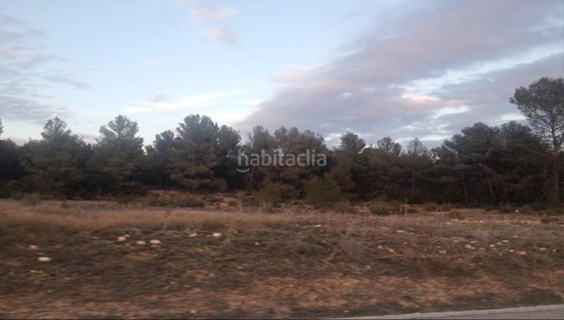 Foto 103c96cc-eb5d-4b4e-afec-19662dd91921. Finca rústica solvia inmobiliaria suelo rústico ayora en Santiago - Pontones