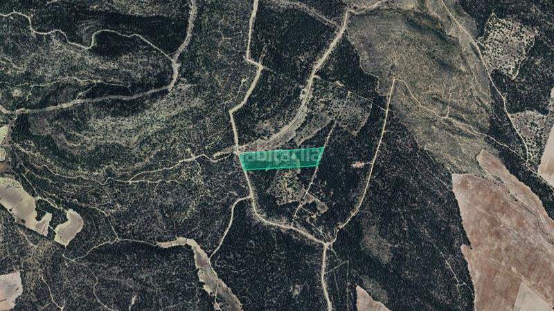 Foto 163affee-fb78-4cb9-998f-c7988e7be4cd. Finca rústica solvia inmobiliaria suelo rústico ayora en Santiago - Pontones