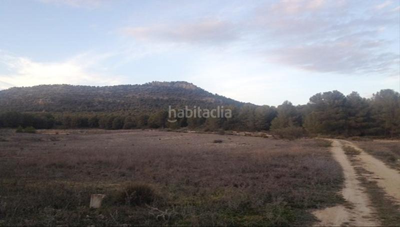 Foto 7dbc537e-ea30-4077-b9e3-ca3c316ce0a0. Finca rústica solvia inmobiliaria suelo rústico ayora en Santiago - Pontones