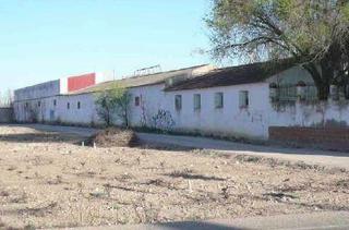 Finca rústica  Pj rio zancara. Solvia inmobiliaria  suelo rústico tomelloso