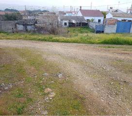 Finca rústica  Sc sector p.u. iii. Solvia inmobiliaria  suelo rústico obejo