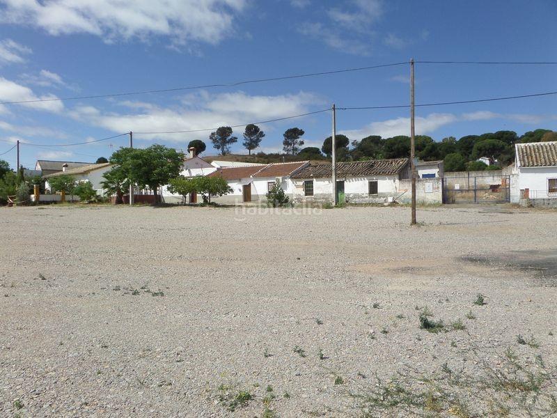 Foto 3ccda4d4-604d-422a-9679-48f832caadd1. Finca rústica solvia inmobiliaria suelo rústico en Obejo