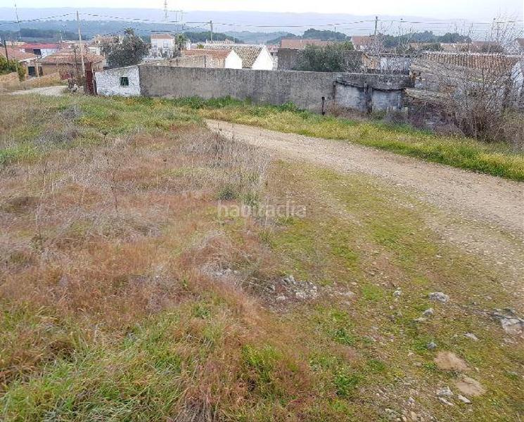 Foto 958a03cb-fc73-4802-8d52-71d434a50a52. Finca rústica solvia inmobiliaria suelo rústico en Obejo