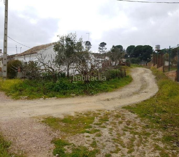 Foto a2d40cc4-3cc6-48fb-b9fb-463dfe873e91. Finca rústica solvia inmobiliaria suelo rústico en Obejo