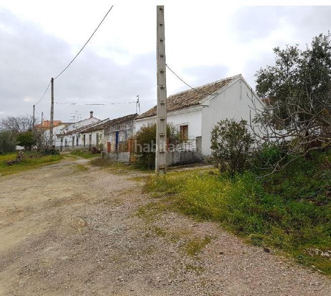 Foto bd8679f7-c828-41c1-8bc2-4fb02537c59c. Finca rústica solvia inmobiliaria suelo rústico en Obejo