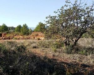 Propriété  Pr rachina. Solvia inmobiliaria  suelo rústico sant joan de moró