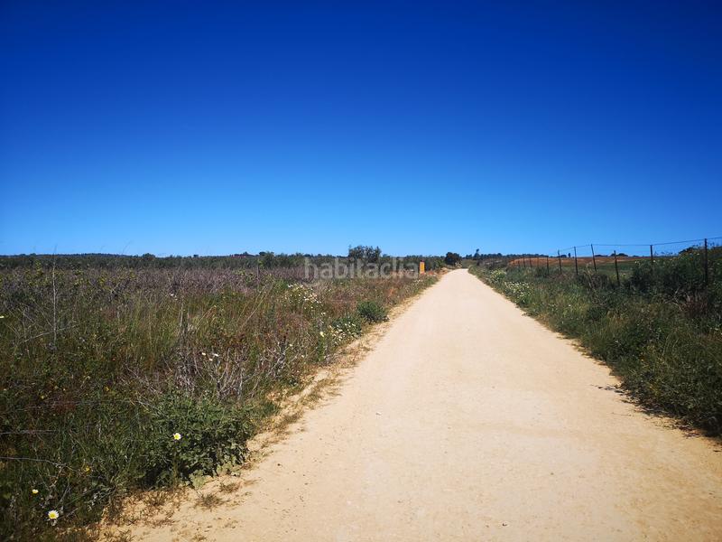 Foto 78c81b62-4182-4eba-9ad4-9d5d7b04f525. Finca rústica solvia inmobiliaria suelo rústico en Bollullos Par del Condado