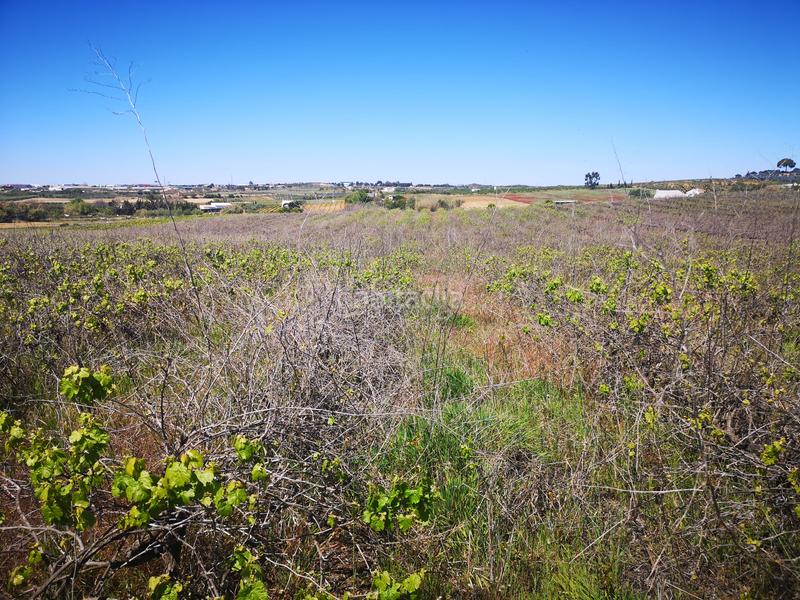 Foto 9a30ad21-1f07-4636-8c69-632792edda56. Finca rústica solvia inmobiliaria suelo rústico en Bollullos Par del Condado