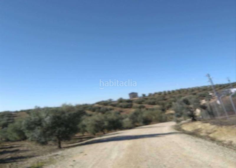 Foto 201af831-e371-425e-8f0a-9191e4deb100. Fondo rustico in Jauja Lucena