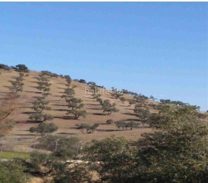 Foto 76ef88cf-d386-4328-a401-fa7da651ff41. Fondo rustico in Jauja Lucena