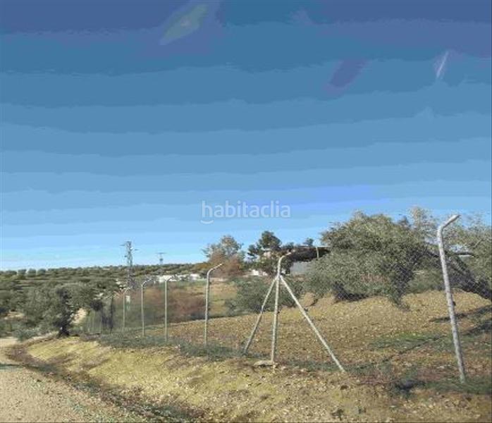 Foto 97cfa094-4068-42a7-8c86-56041e1467e4. Fondo rustico in Jauja Lucena