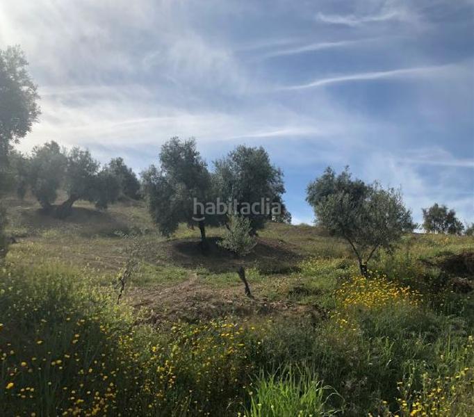 Foto 9be55300-40ce-4983-b792-90593695a9cf. Fondo rustico in Jauja Lucena