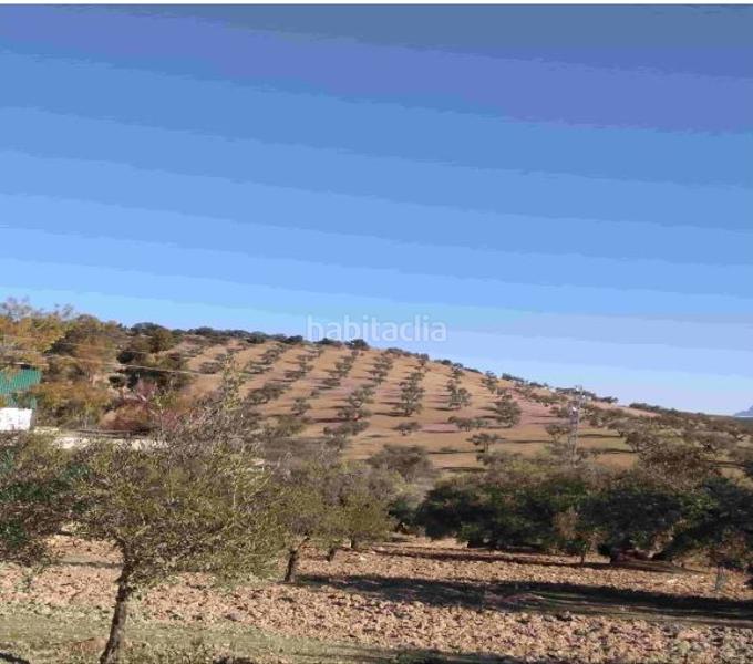 Foto d0cd7beb-189f-48d5-a41f-b5e25cd57e4f. Fondo rustico in Jauja Lucena