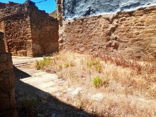 Finca rústica  Cl santa ana. Solvia inmobiliaria  suelo otros biota