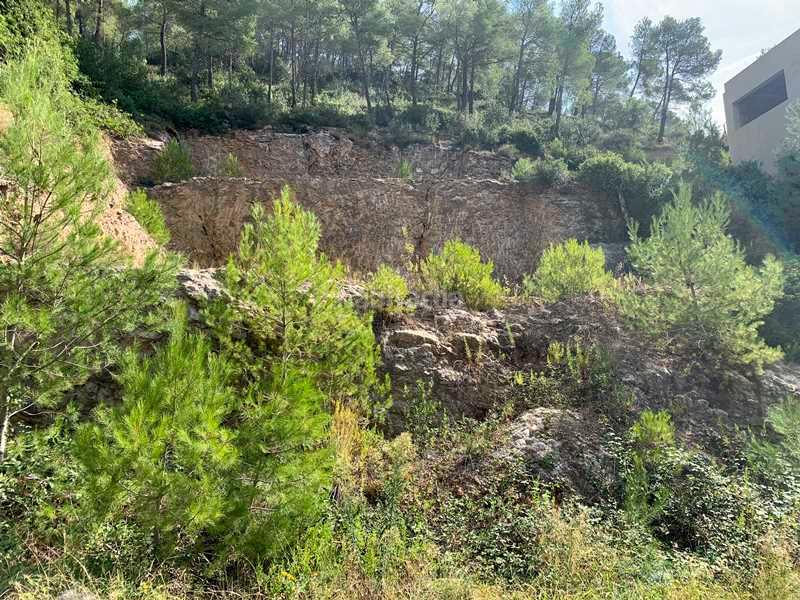 Foto 85e6a18e-55ae-4f40-97b7-f3654431e225. Fondo rustico in Vallirana