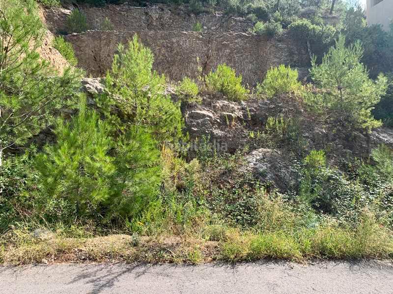 Foto f417fa81-53c5-4dbd-adc6-a47c2bc17ce3. Fondo rustico in Vallirana