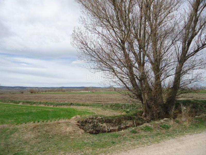 Foto 85a36f98-0e13-412c-92d2-ab34b0311b33. Finca rústica solvia inmobiliaria suelo rústico en Villarquemado