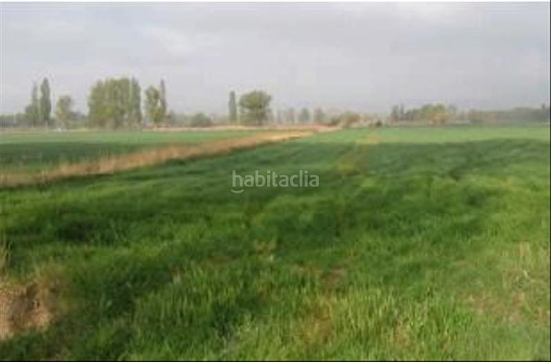 Foto a727ceaf-8a6f-4c72-ad80-63bdebc17681. Finca rústica solvia inmobiliaria suelo rústico en Villarquemado