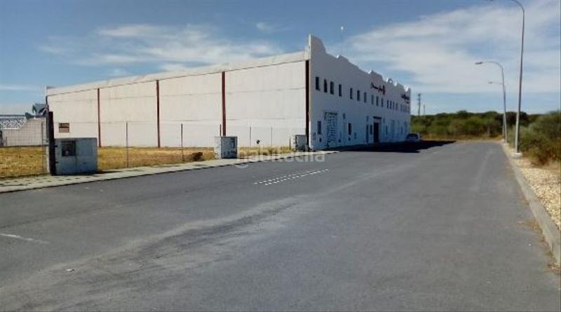 Foto c121b45c-61e0-4884-a8c4-ebc9cfc72c20. Nave industrial solvia inmobiliaria nave industrial en Almonte