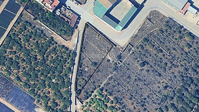 Foto 65475c23-ebdf-481e-84d3-1441097b290e. Finca rústica a Llaurí