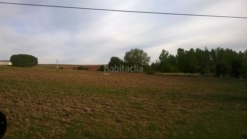 Foto 50cd39f8-9ab2-454a-a264-dcb42ba1da7a. Fondo rustico in Madrigalejo del Monte