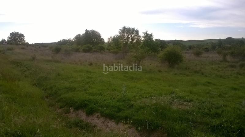 Foto 8ed98c45-2afa-4540-b1d6-c5e9e1061745. Finca rústica solvia inmobiliaria suelo urbanizable en Madrigalejo del Monte