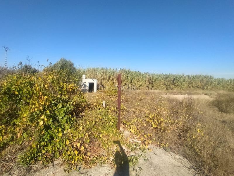 Foto e0f024a5-1204-4a99-be52-54f68e14d5ec. Finca rústica solvia inmobiliaria suelo rústico en Xàtiva