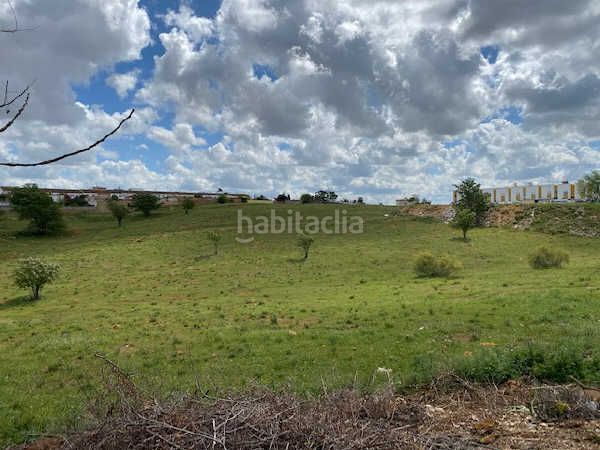 Foto 46426b02-d410-4a93-93d9-6d7db9133b1e. Finca rústica a Oromana Alcalá de Guadaira