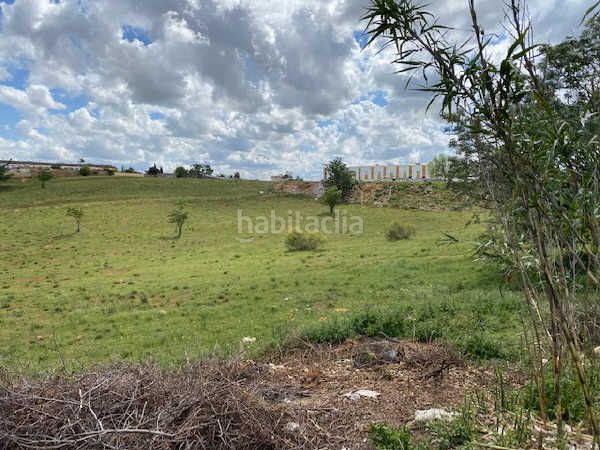 Foto 4a33f2e1-6bd6-4942-b5c4-20ac8a482b9a. Finca rústica a Oromana Alcalá de Guadaira