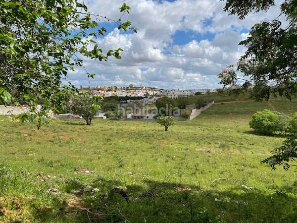 Foto 57667e03-3e42-4dbd-9945-92d9870bd6dc. Finca rústica a Oromana Alcalá de Guadaira