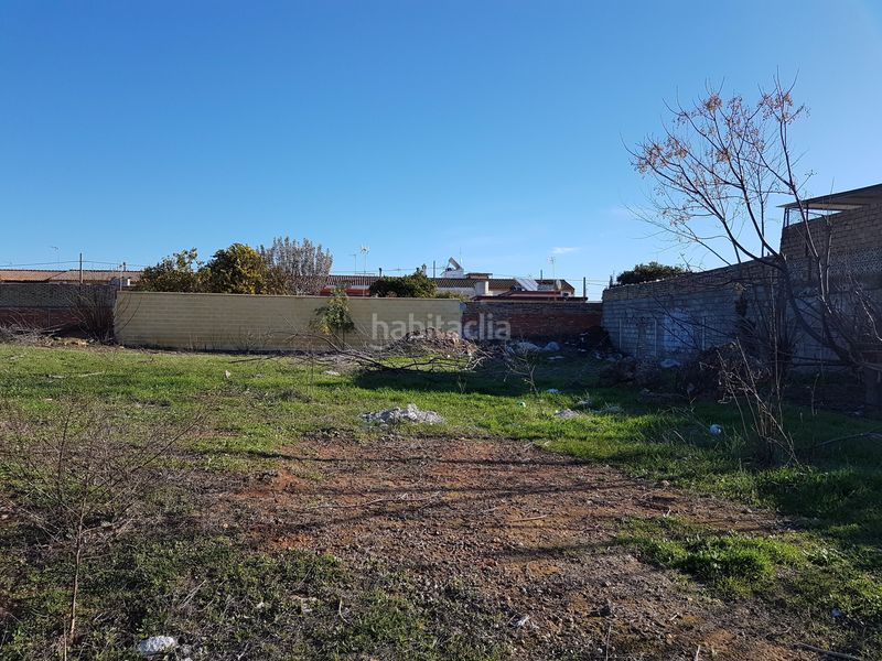 Foto a449a1af-d204-4758-a9ba-601da08cdfbb. Finca rústica a Oromana Alcalá de Guadaira
