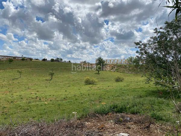 Foto b7ce052f-b009-4726-8e0f-f6f1110f6a83. Finca rústica a Oromana Alcalá de Guadaira