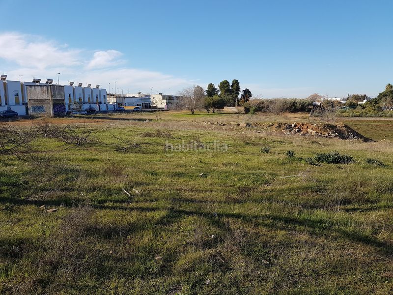 Foto c992f4a5-9115-4af2-8e9b-39b510ac3153. Finca rústica a Oromana Alcalá de Guadaira