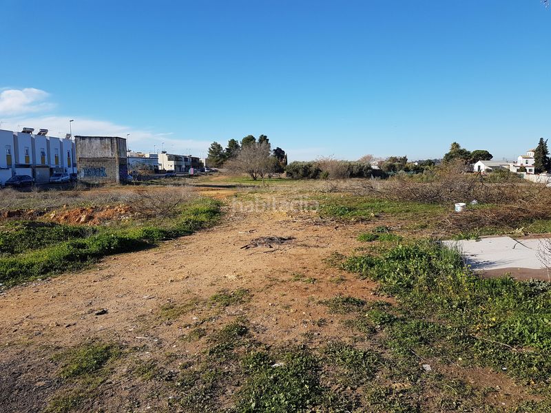 Foto d47ba176-0279-4cfe-aaf4-61be587d9c1f. Finca rústica a Oromana Alcalá de Guadaira